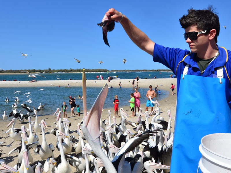 Top 24 Things To Do In Kalbarri Kalbarri Travel Guide 2023